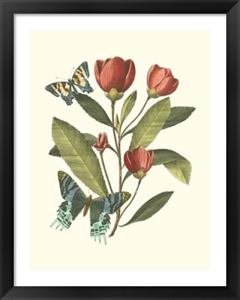 Framed Midsummer Floral II Print