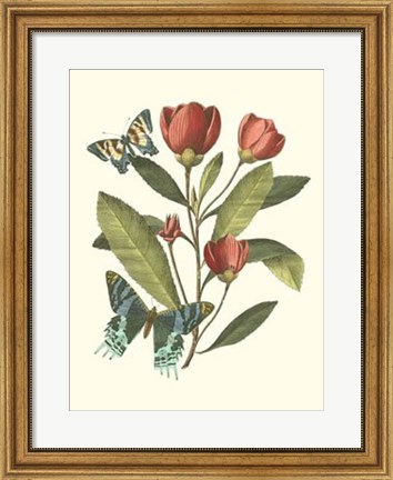 Framed Midsummer Floral II Print