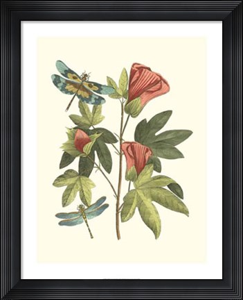 Framed Midsummer Floral III Print