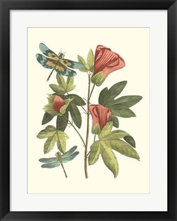 Framed Midsummer Floral III Print