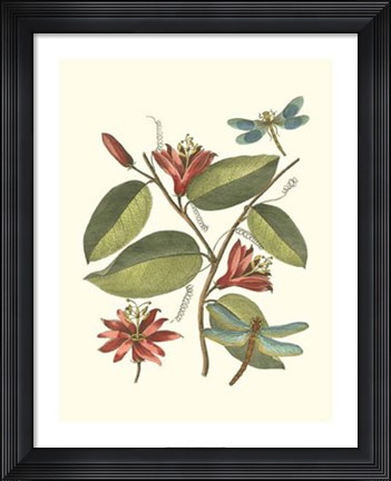 Framed Midsummer Floral IV Print