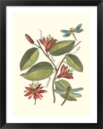 Framed Midsummer Floral IV Print
