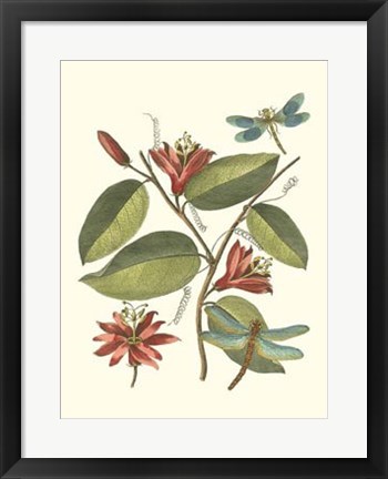 Framed Midsummer Floral IV Print