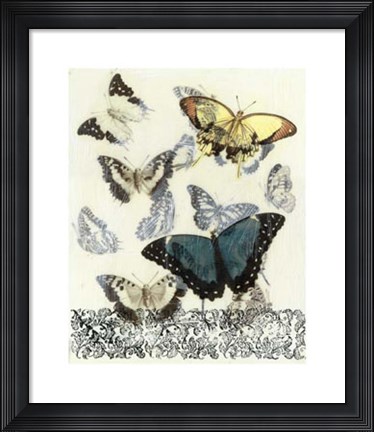 Framed Butterfly Habitat II Print
