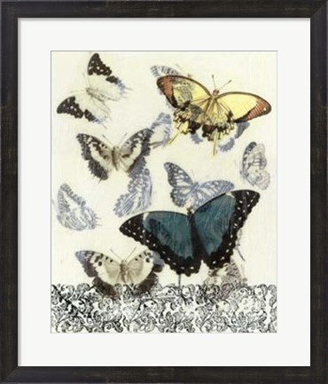 Framed Butterfly Habitat II Print