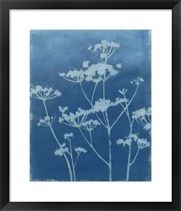 Framed Indigo Print II Print