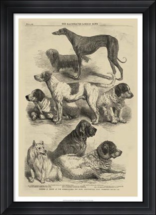 Framed International Dog Show I Print
