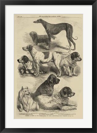 Framed International Dog Show I Print