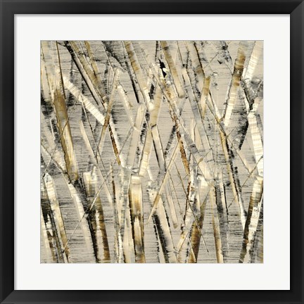 Framed Birches V Print