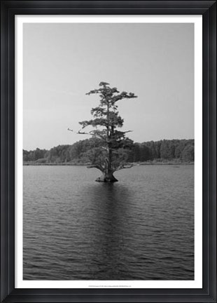 Framed Riverscape I Print