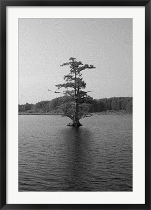 Framed Riverscape I Print