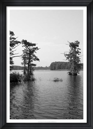 Framed Riverscape II Print