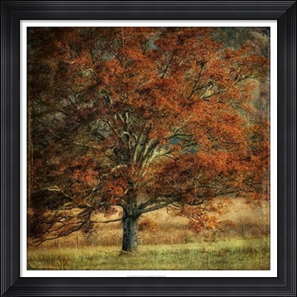 Framed Resting Place Print