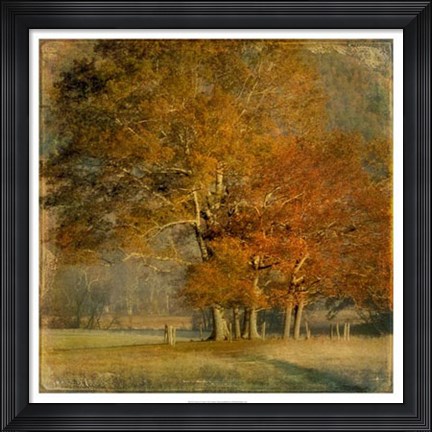 Framed Cluster of Oaks Print