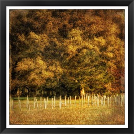 Framed Fence Row Print