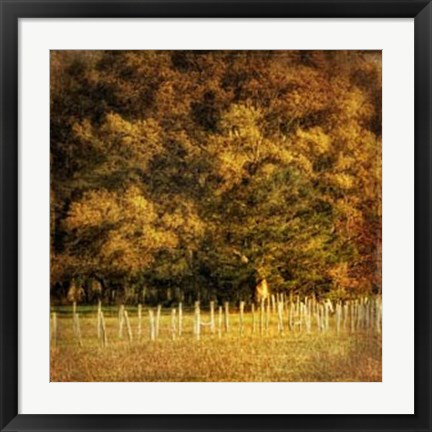 Framed Fence Row Print