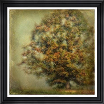 Framed Autumn&#39;s Dream Print