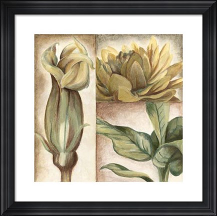 Framed Garden Glimpses II Print