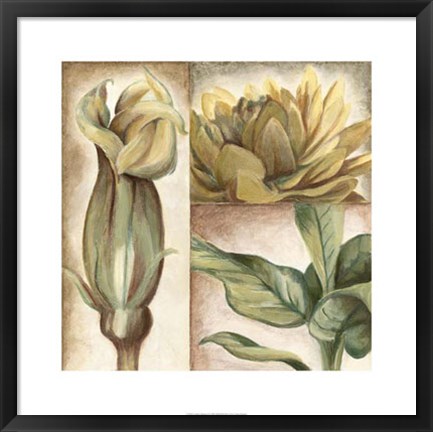 Framed Garden Glimpses II Print