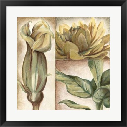 Framed Garden Glimpses II Print