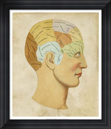 Framed Vintage Phrenology Print