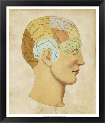 Framed Vintage Phrenology Print