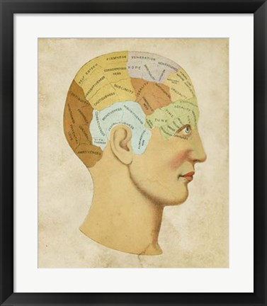 Framed Vintage Phrenology Print