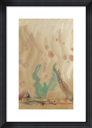 Framed Plankton II Print