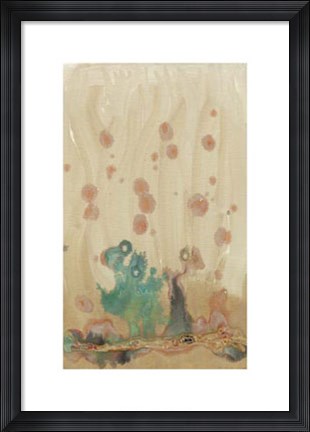 Framed Plankton III Print