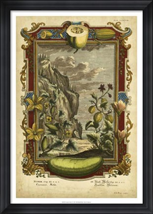 Framed Genesis Fruits I Print