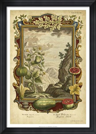 Framed Genesis Fruits II Print