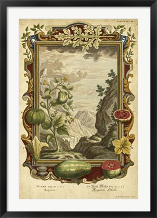 Framed Genesis Fruits II Print