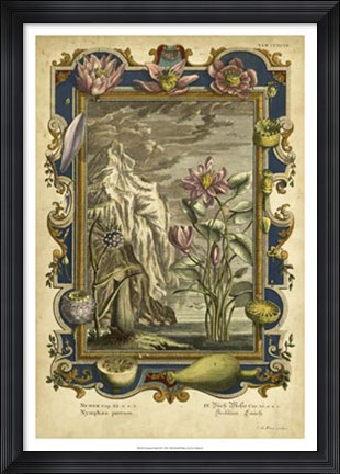 Framed Genesis Fruits III Print