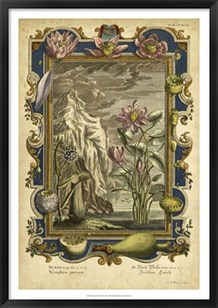 Framed Genesis Fruits III Print
