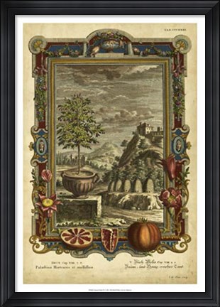 Framed Genesis Fruits IV Print