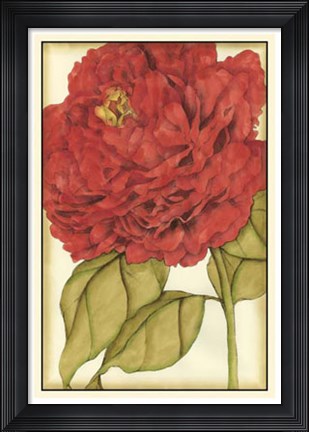 Framed Ruby Blooms II Print