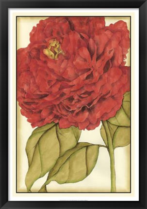 Framed Ruby Blooms II Print
