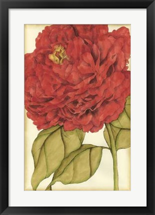 Framed Ruby Blooms II Print