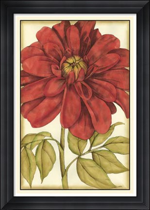 Framed Ruby Blooms III Print