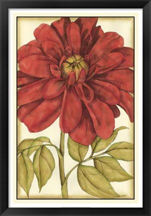 Framed Ruby Blooms III Print