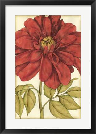 Framed Ruby Blooms III Print