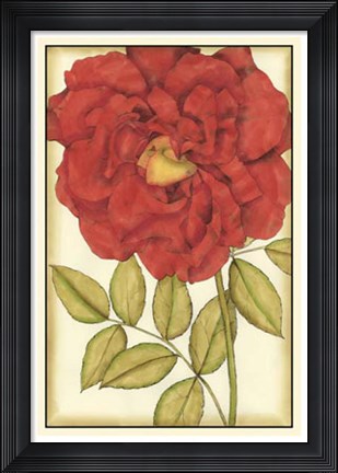 Framed Ruby Blooms IV Print