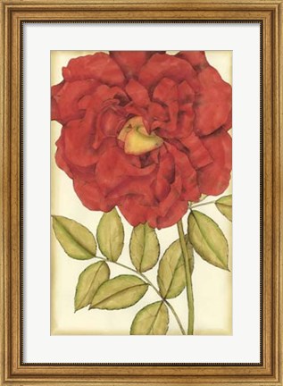 Framed Ruby Blooms IV Print