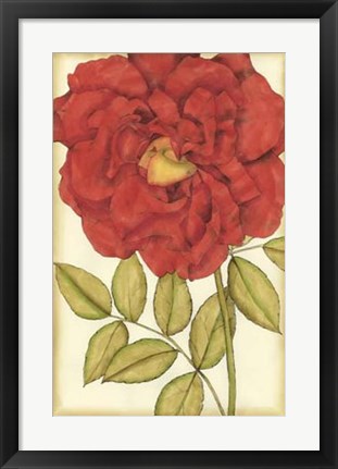 Framed Ruby Blooms IV Print