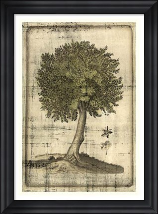 Framed Fruitful Realm I Print