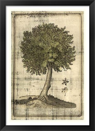 Framed Fruitful Realm I Print