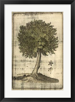 Framed Fruitful Realm I Print