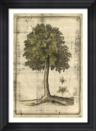 Framed Fruitful Realm II Print