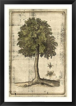 Framed Fruitful Realm II Print