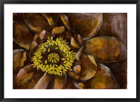 Framed Floral Illusion I Print